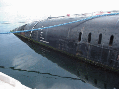 Sub Bay Windows