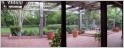 Patio View